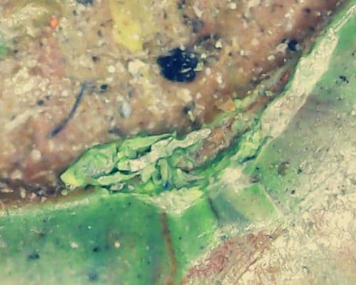 Conservation préventive